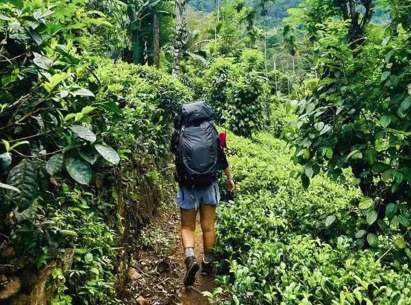 The Pekoe Trail Seasonal Navigation & Safety Update